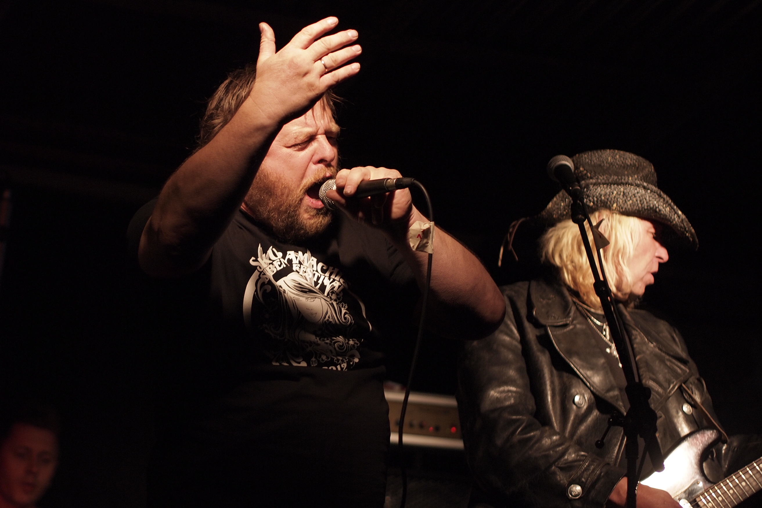 die Mollies live